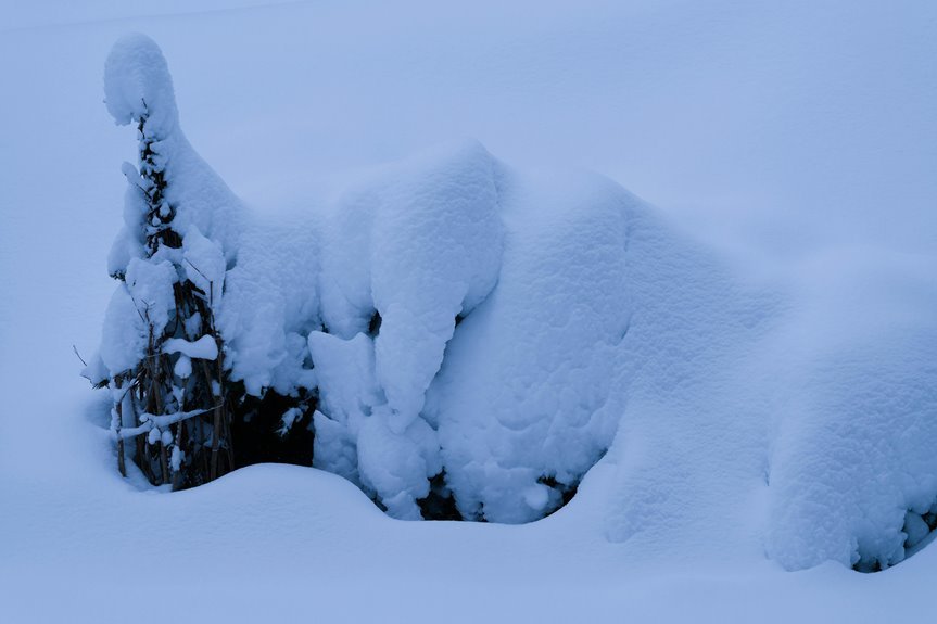 celestial drift archive collection