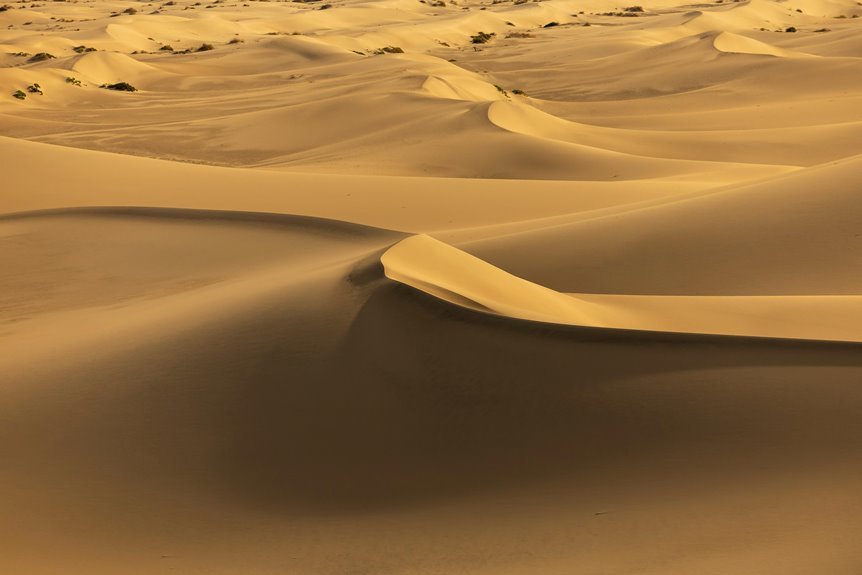 golden terra matrix code