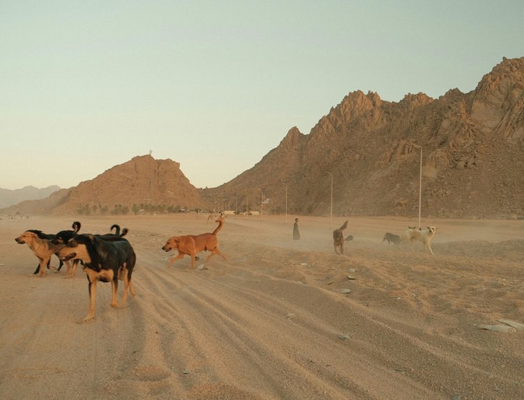 pinnacle dust realm exploration