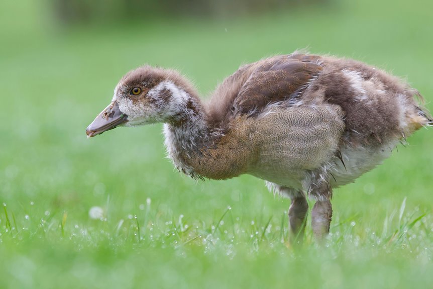 selling feet photos online