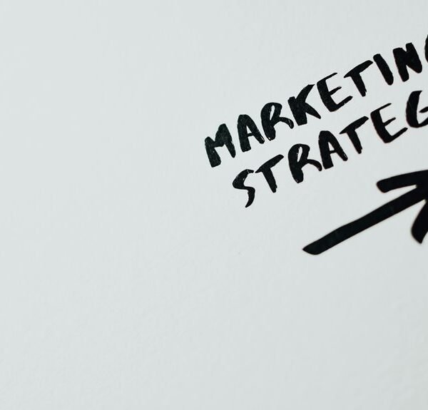 online media and seo insights